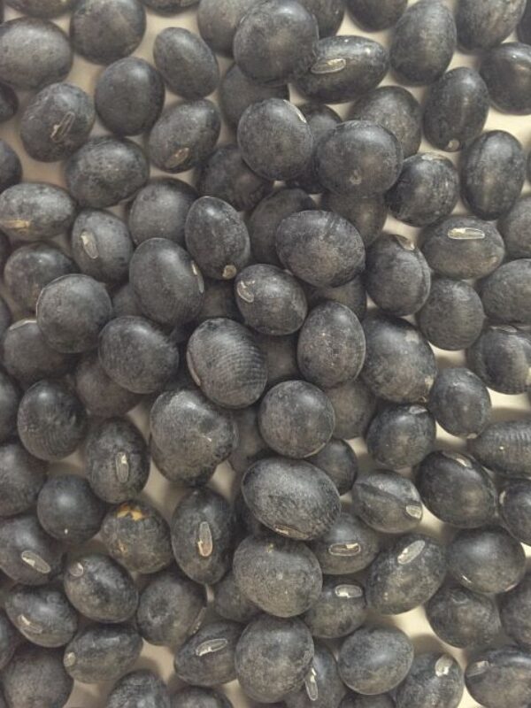 Black Soybean 1kg