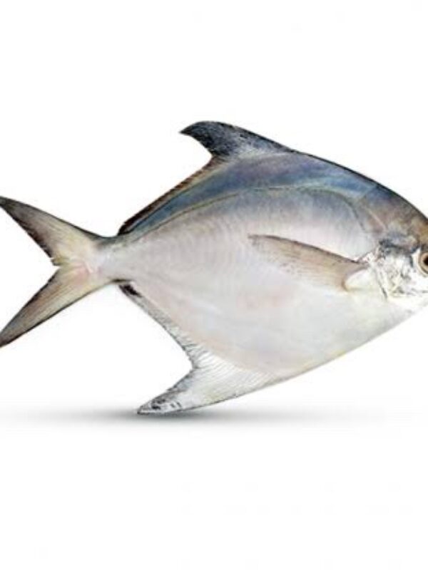 Rupchanda Fish 800g