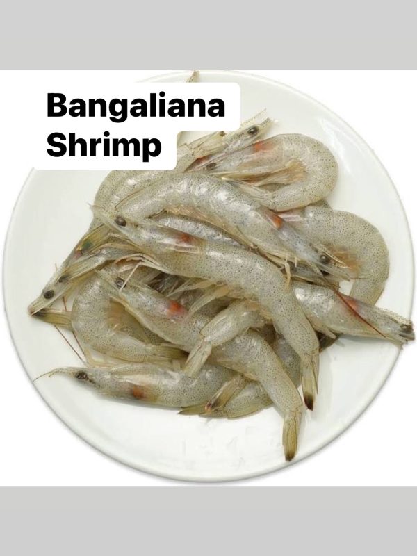 Shrimp 400g